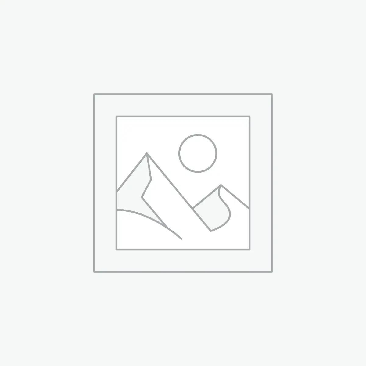 Large crystal Earrings